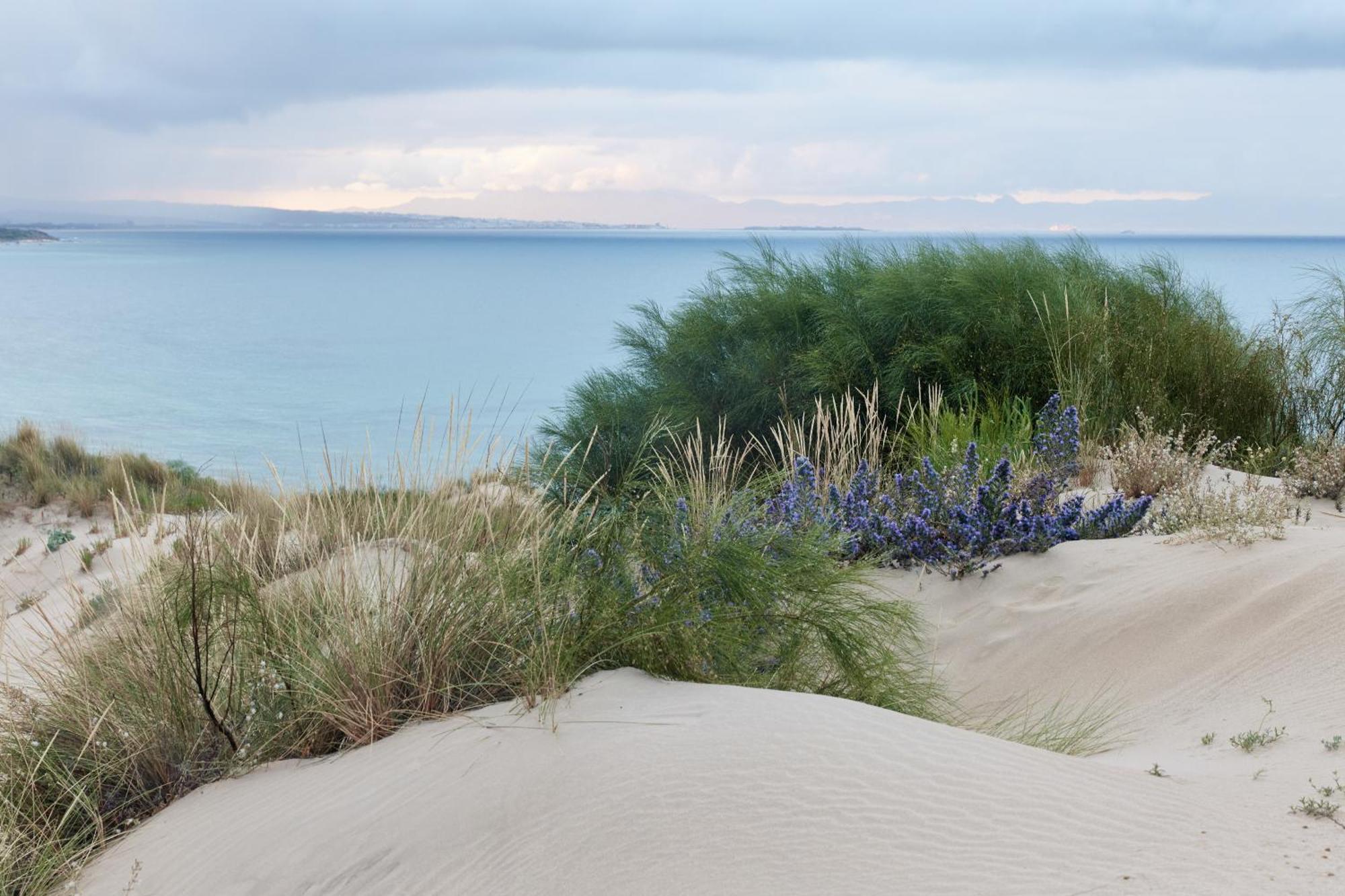 Taiga Tarifa Punta Paloma Hotel Luaran gambar